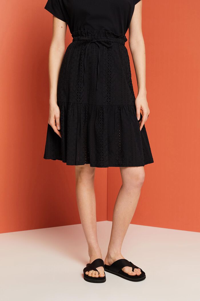 Embroidered skirt, LENZING™ ECOVERO™, BLACK, detail image number 0