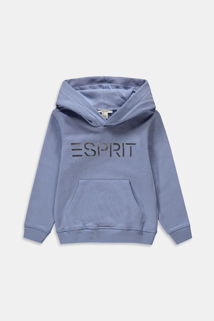 Hooded jumper with a metallic logo print