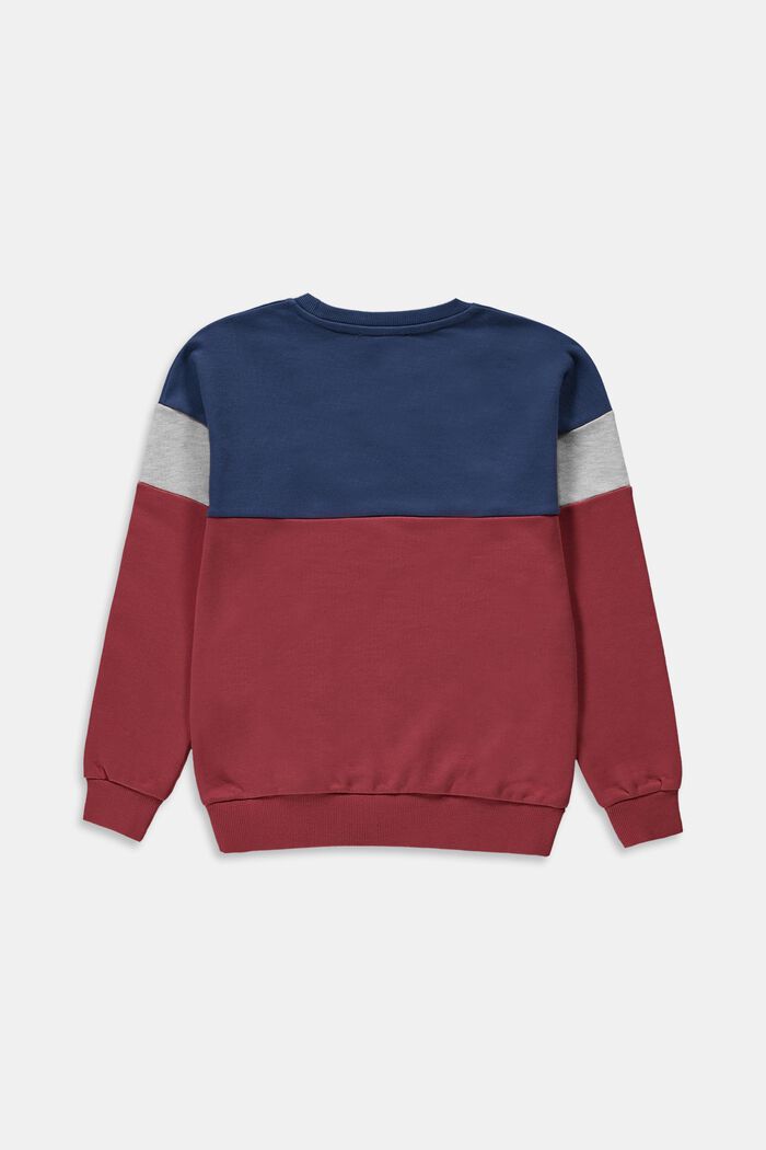 Colour block sweatshirt, GARNET RED, detail image number 1