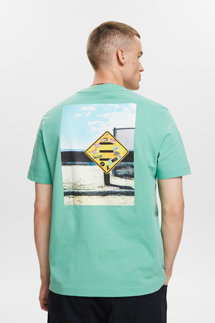 Graphic Cotton Jersey T-Shirt, DUSTY GREEN, detail image number 2