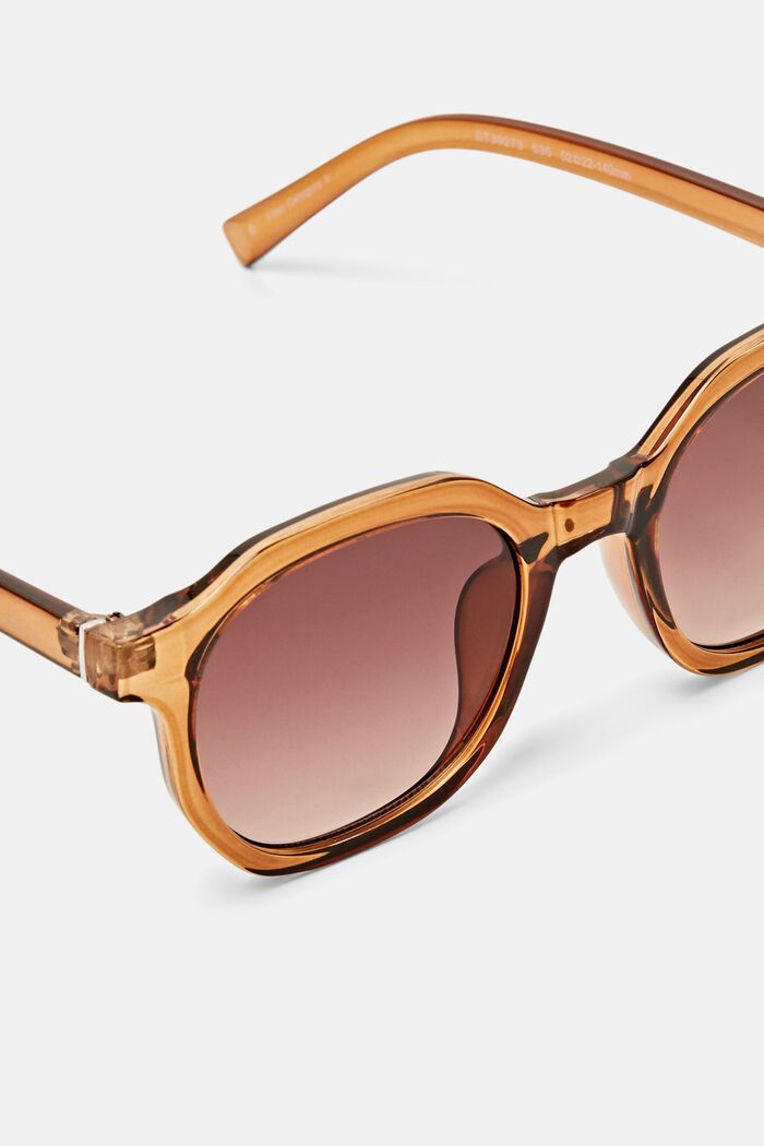 Round Frame Sunglasses, BROWN, detail image number 1