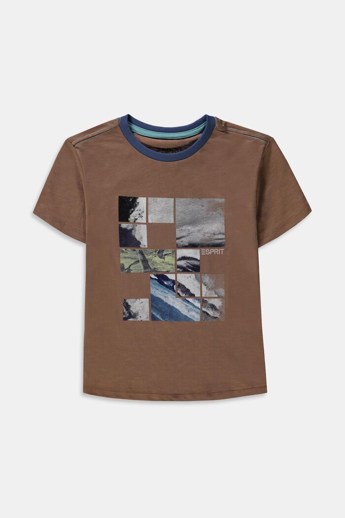 Printed T-shirt made of 100% cotton, TAUPE, overview
