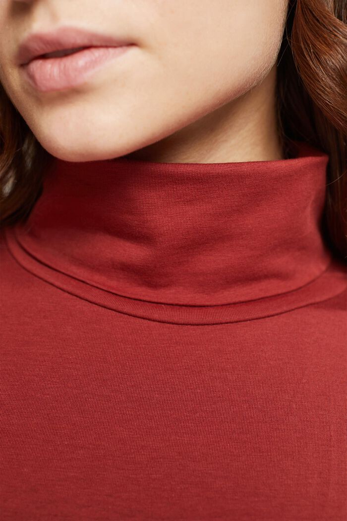 Roll Neck Long Sleeve Top, TERRACOTTA, detail image number 0