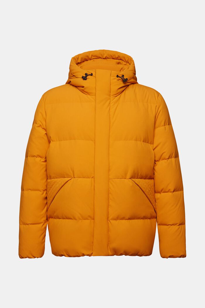 Hooded Down Jacket, HONEY YELLOW, detail image number 6