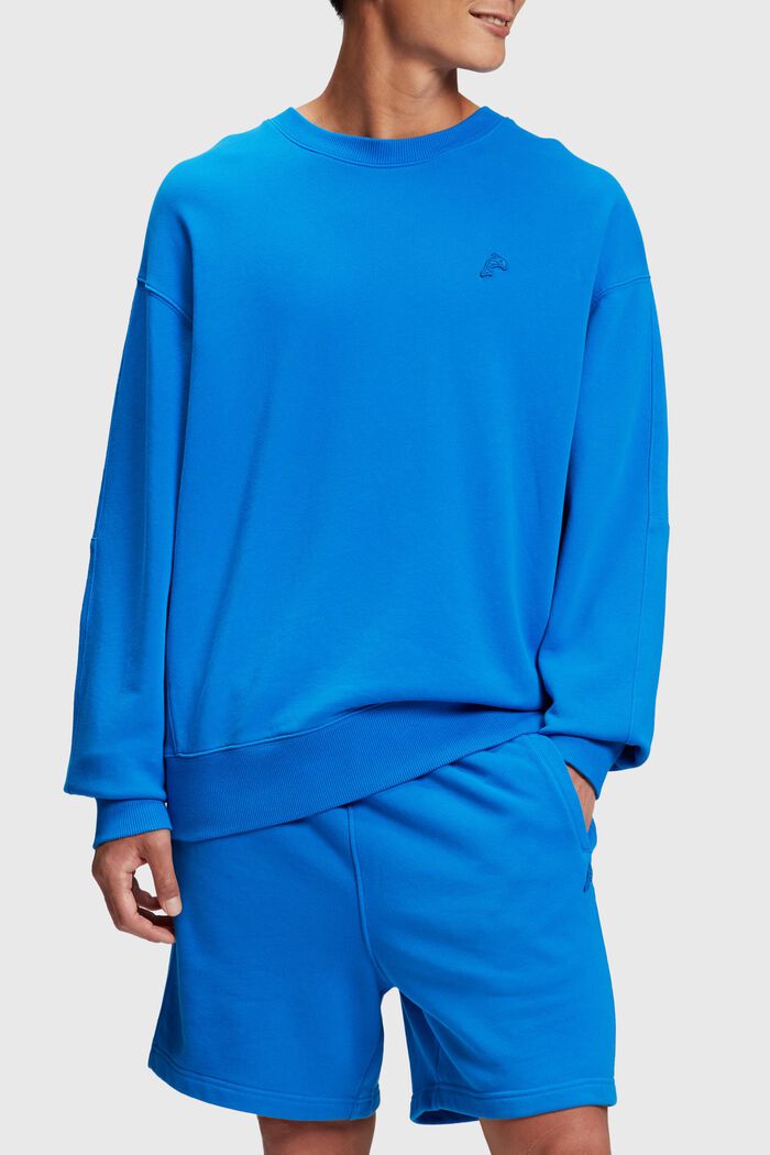 Color Dolphin Relaxed Fit Sweatshirt, BLUE, detail image number 0
