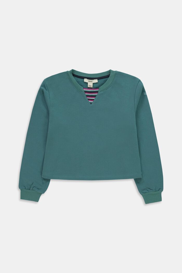 Cotton sweatshirt, TEAL GREEN, detail image number 0