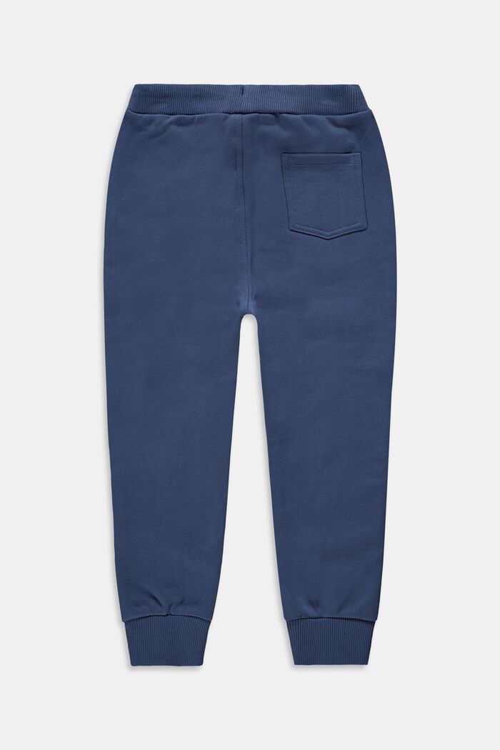 Tracksuit bottoms made of 100% cotton, GREY BLUE, detail image number 1