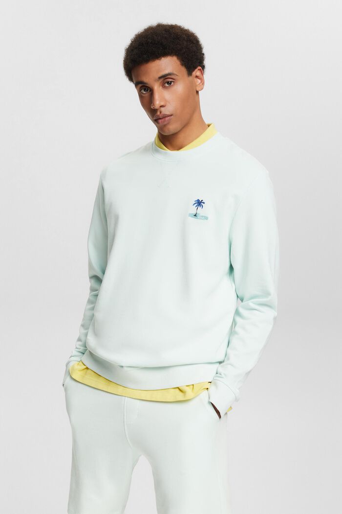 Sweatshirt with a small embroidered motif, LIGHT AQUA GREEN, detail image number 0