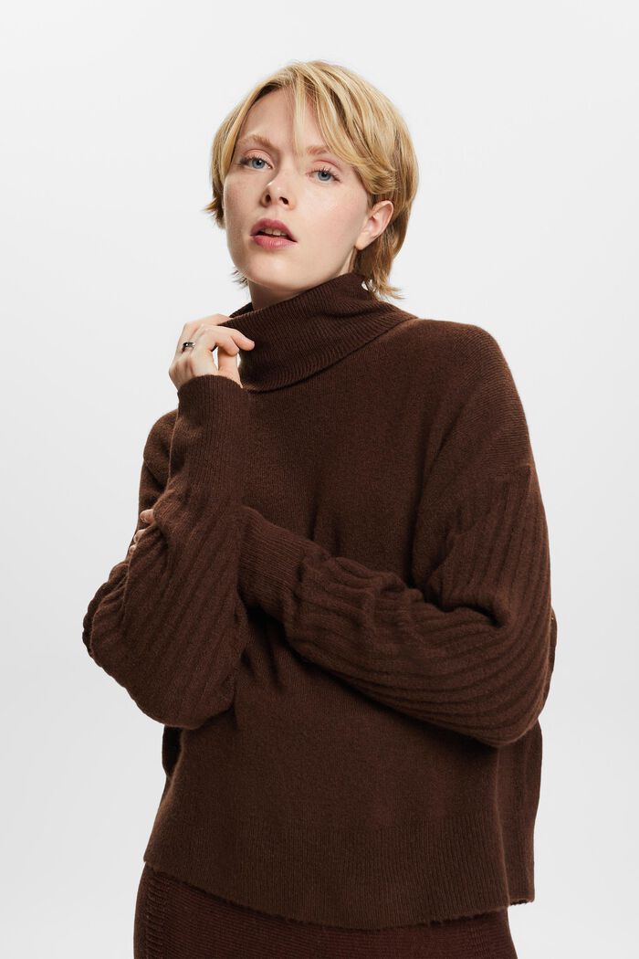 Wool Blend Turtleneck Sweater, BROWN, detail image number 1