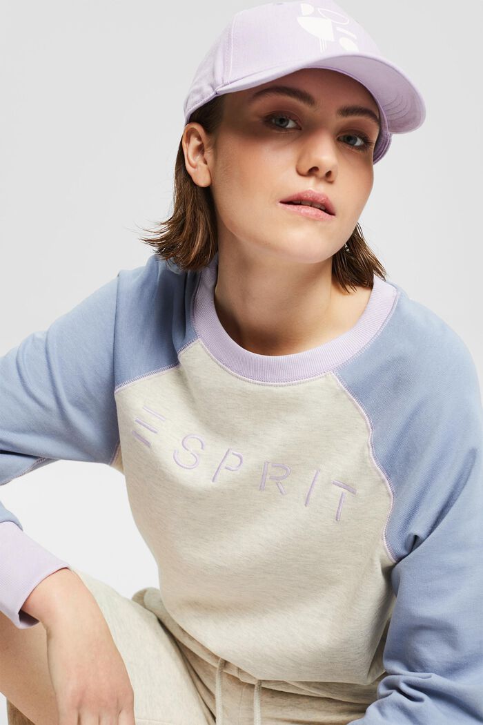 Multi-coloured sweatshirt with a logo, PASTEL GREY, overview