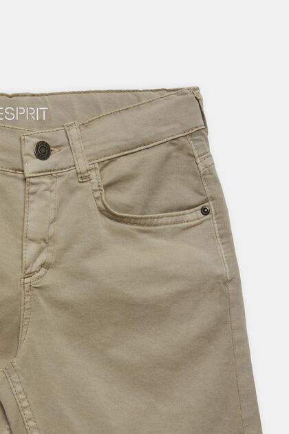 Carpenter Shorts