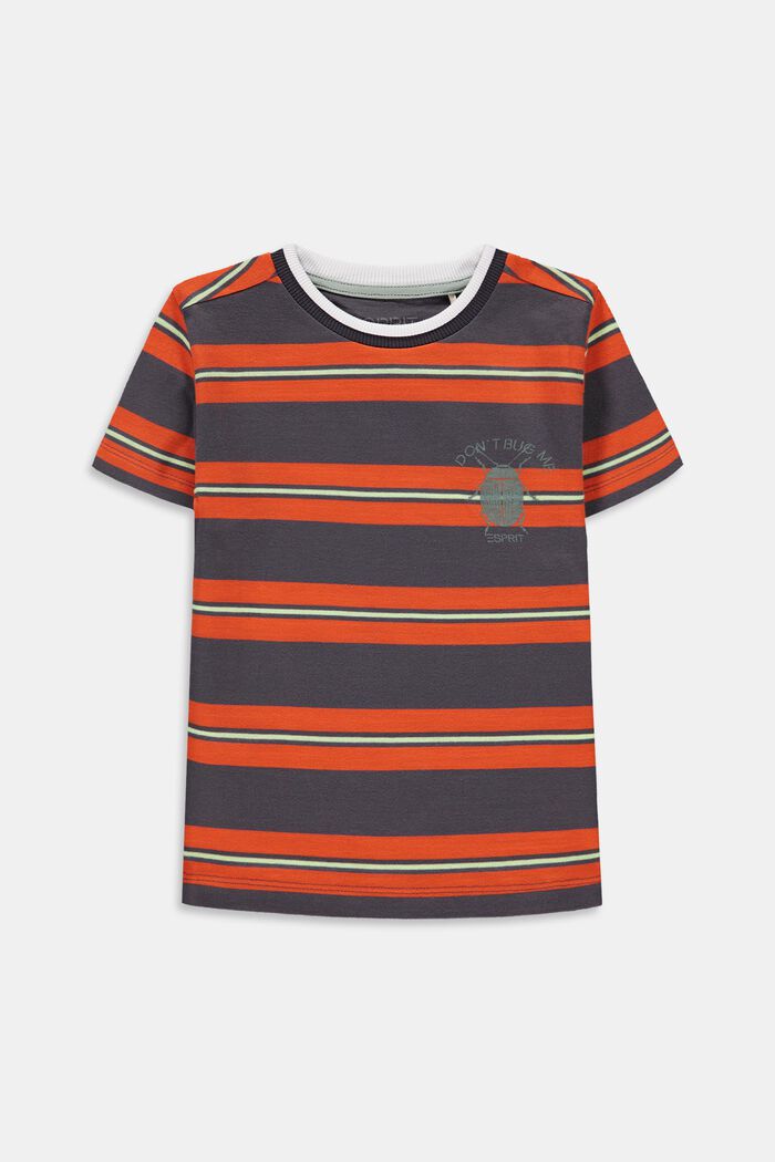 Striped T-shirt with a beetle print, DARK GREY, detail image number 0