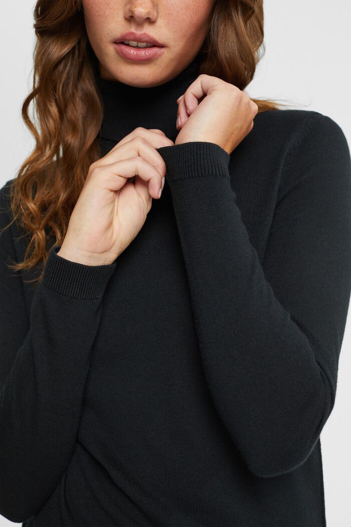 Roll neck sweater, BLACK, detail image number 0