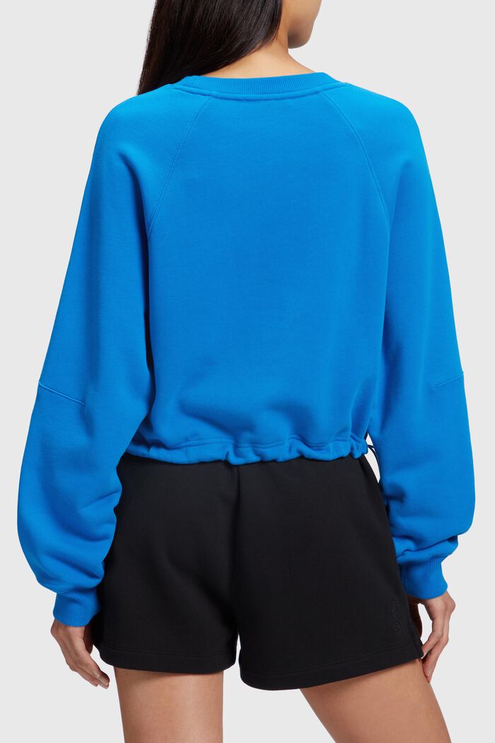 Color Dolphin Cropped Sweatshirt, BLUE, detail image number 1