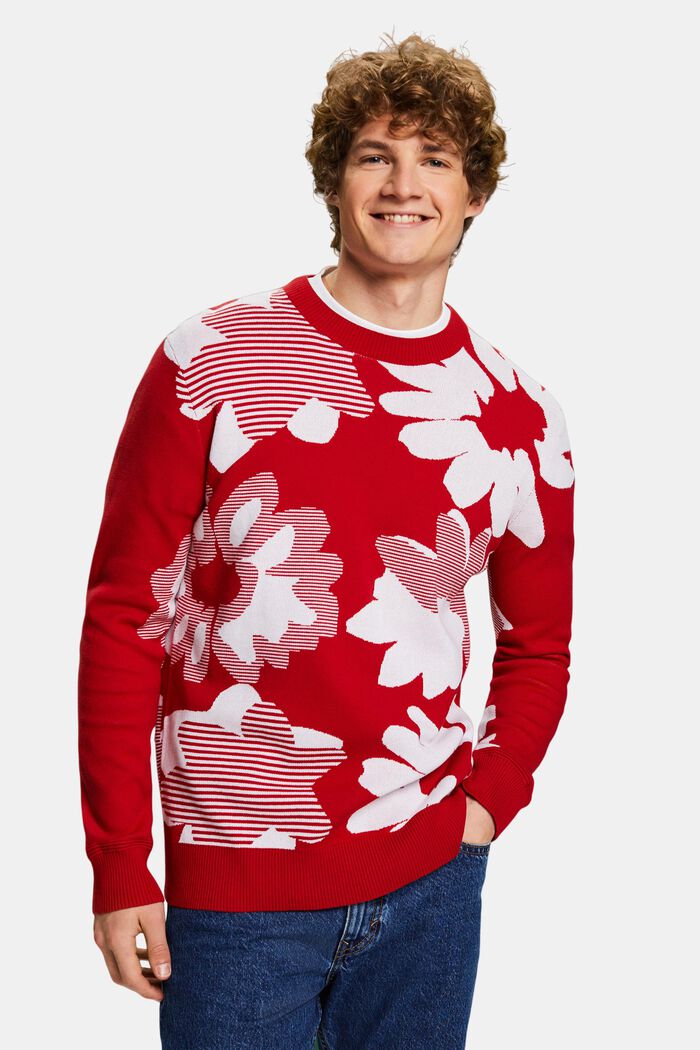 Jacquard Cotton Sweater, DARK RED, detail image number 0