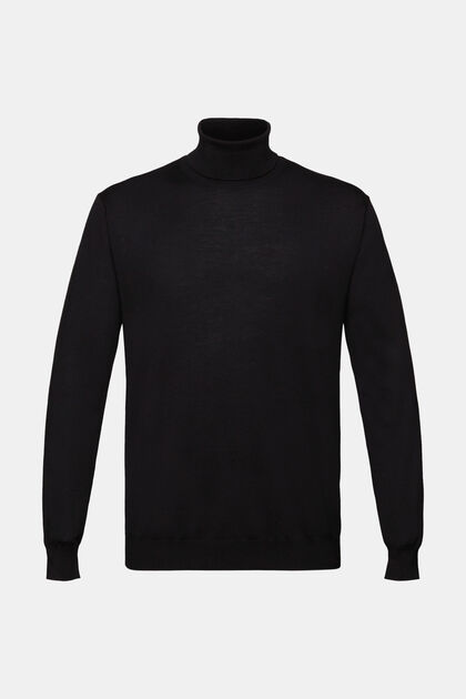 Merino Wool Turtleneck Sweater