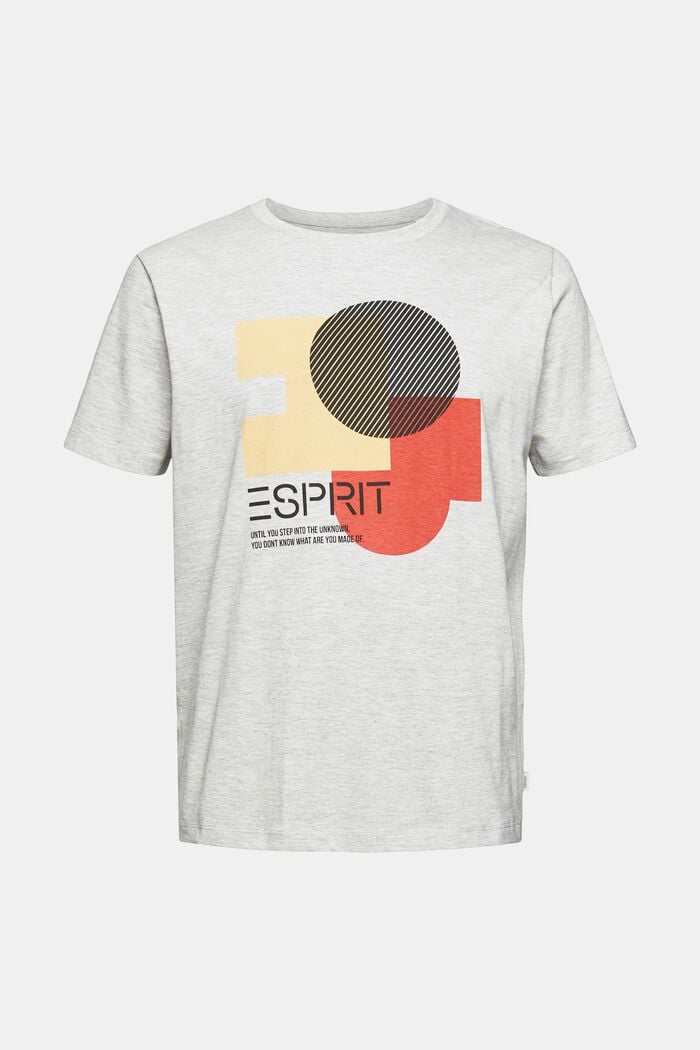 Jersey T-shirt with print, organic cotton blend, LIGHT GREY, overview