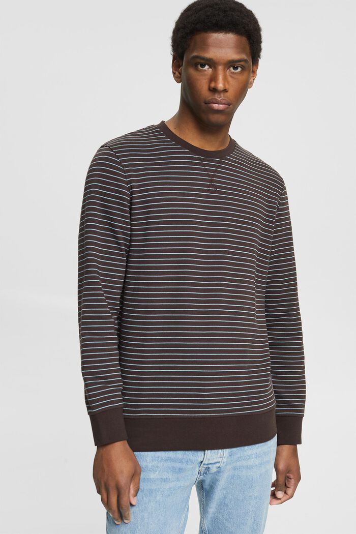 Striped sweatshirt made of cotton, BROWN, detail image number 0