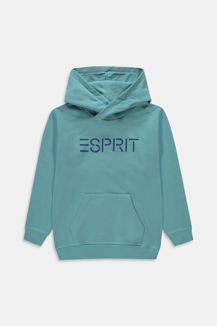 Hooded jumper with a logo print, LIGHT TURQUOISE, overview