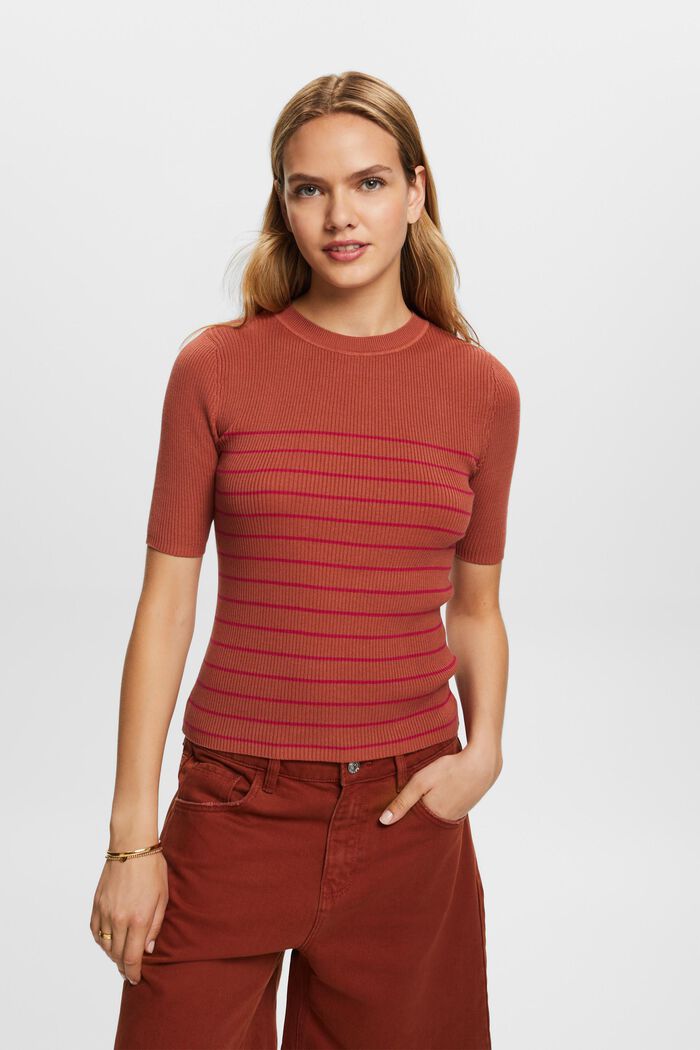 Short sleeve jumper with stripes, 100% cotton, TERRACOTTA, detail image number 3
