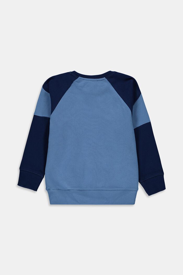 Sweatshirt with a print, 100% cotton, LIGHT BLUE, detail image number 1