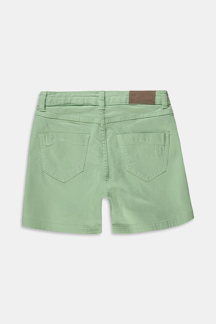 Shorts with an adjustable waistband, made of recycled material, PISTACCHIO GREEN, detail image number 1