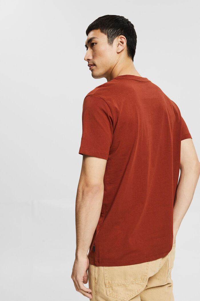 Jersey T-shirt with a print, organic cotton, RUST BROWN, detail image number 3