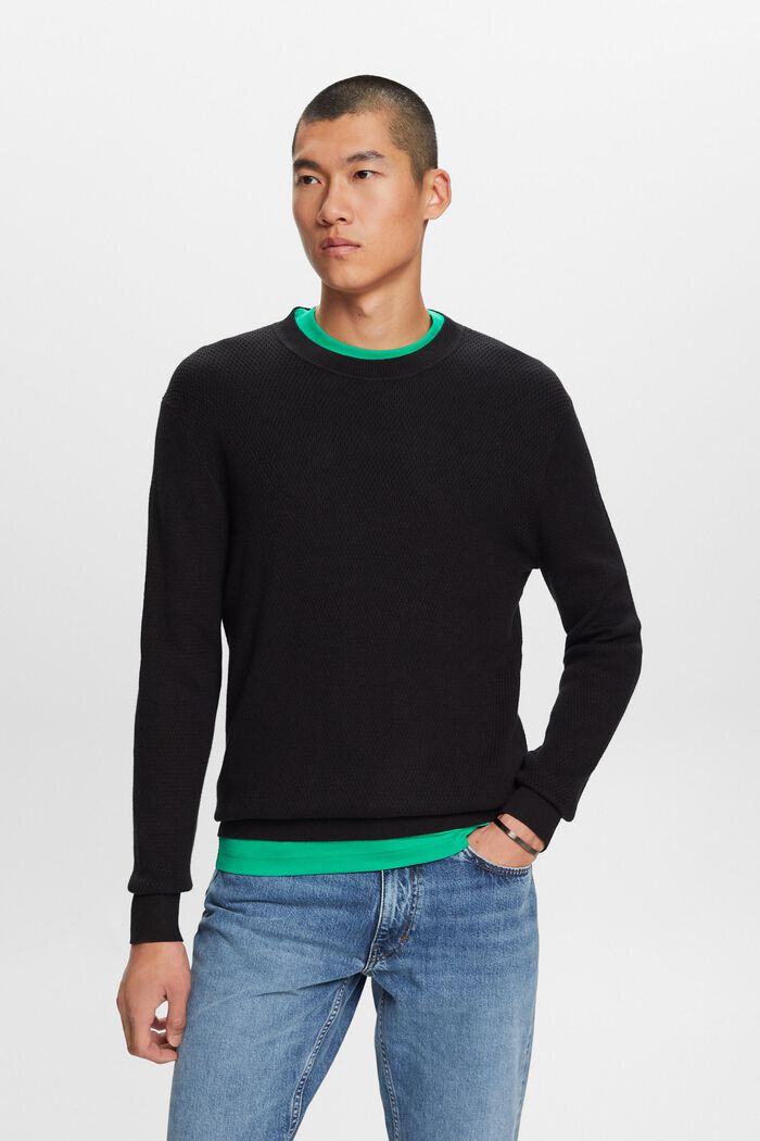 Structured Knit Crewneck Sweater, BLACK, detail image number 1