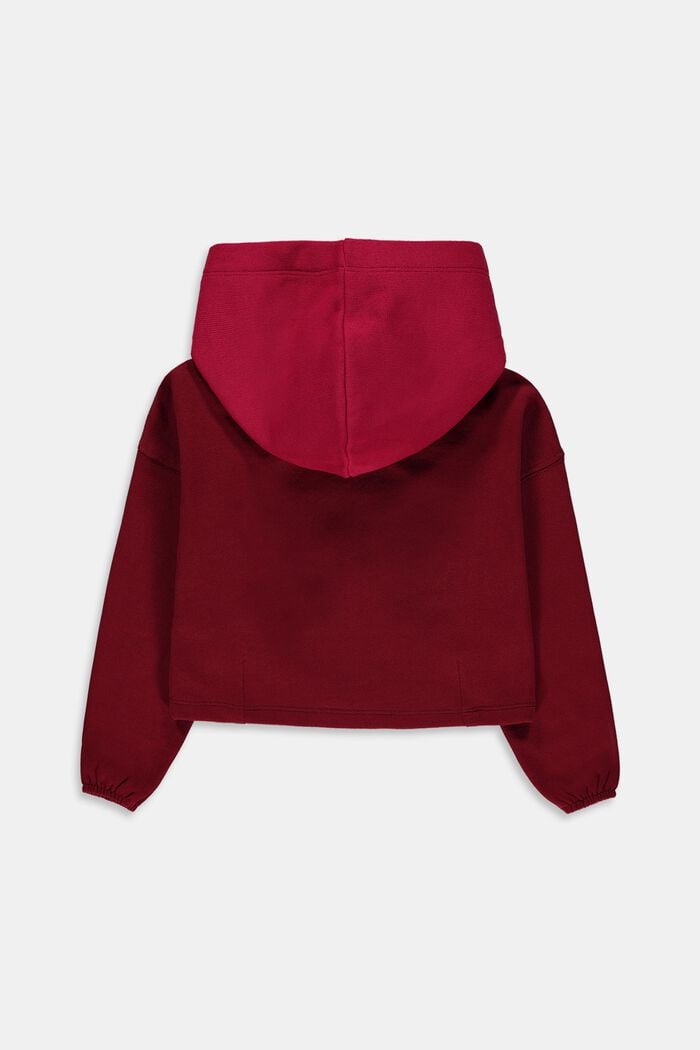 Hoodie with a glitter print, DARK RED, detail image number 1