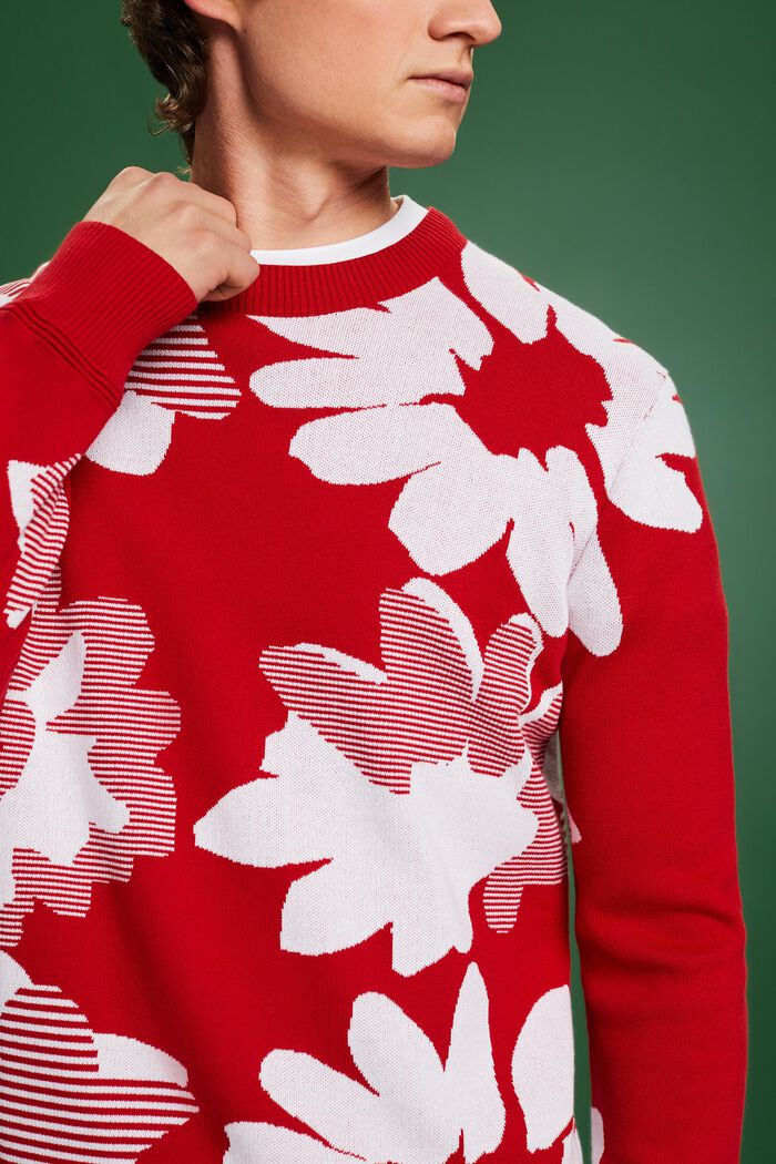 Jacquard Cotton Sweater, DARK RED, detail image number 3