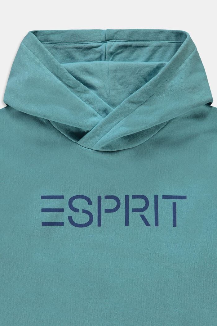 Hooded jumper with a logo print, LIGHT TURQUOISE, detail image number 2