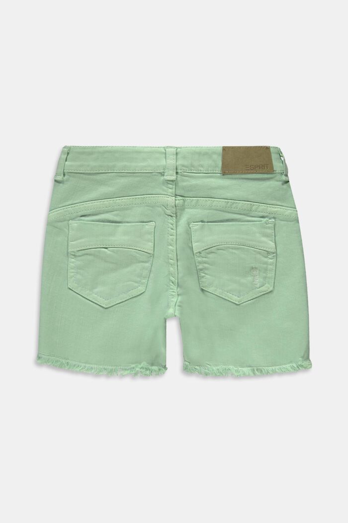 Made of recycled material: shorts with an adjustable waistband, PISTACCHIO GREEN, detail image number 1