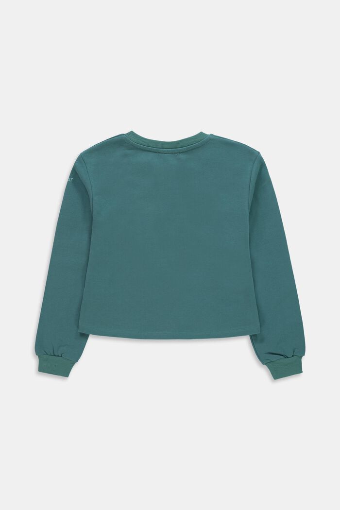 Cotton sweatshirt, TEAL GREEN, detail image number 1
