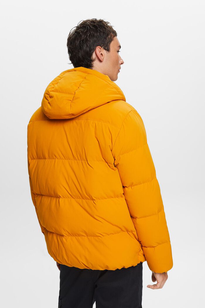 Hooded Down Jacket, HONEY YELLOW, detail image number 3