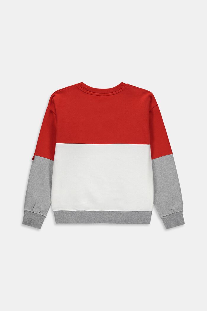 Sweatshirt with a reflective print, RED, detail image number 1