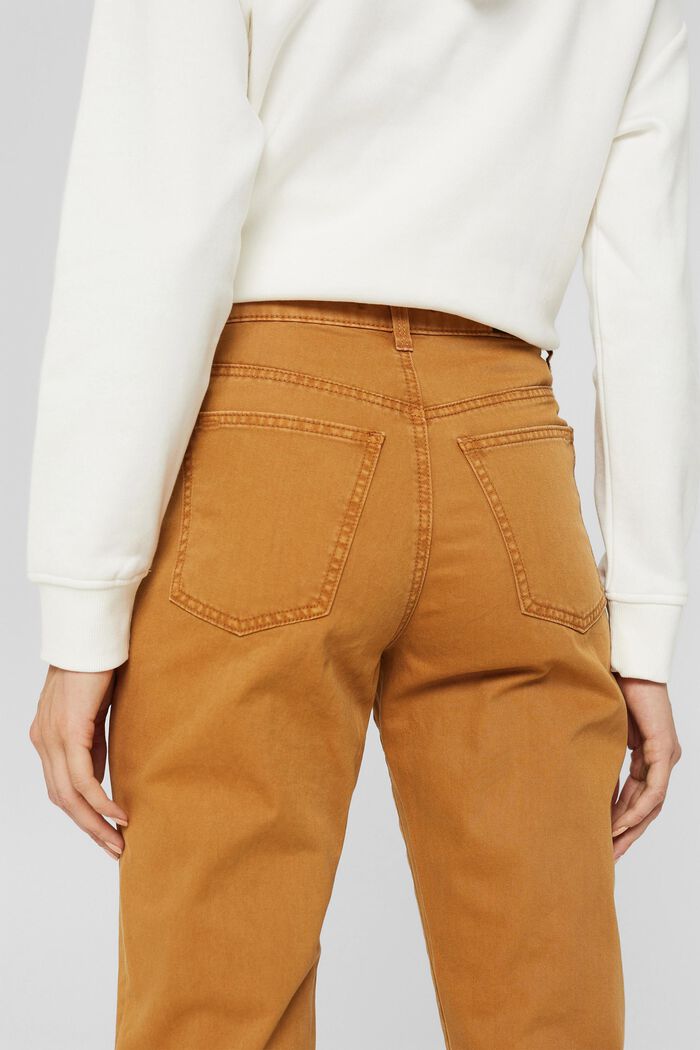 High-rise trousers with a double button, 100% organic cotton, BARK, detail image number 2