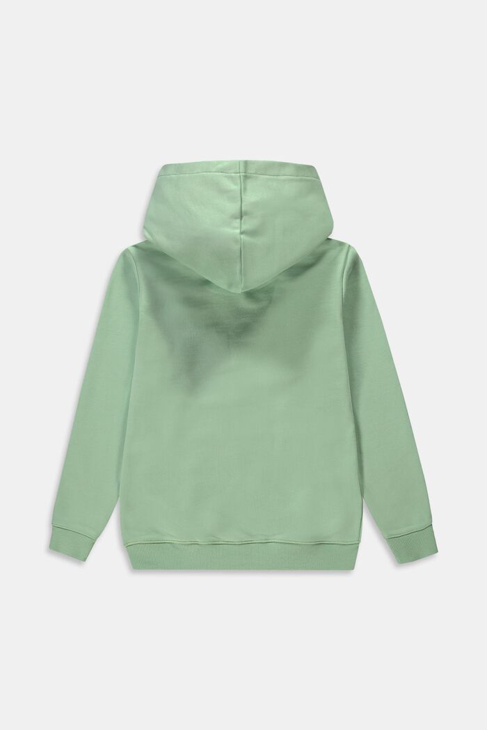 Sweatshirts, PISTACCHIO GREEN, detail image number 1